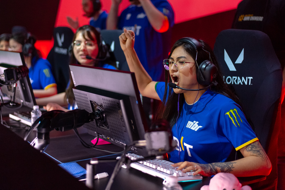 pan hoje na Project Z