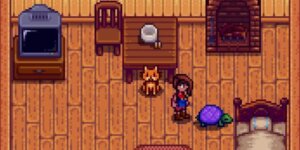 Stardew Valley animais de estimação