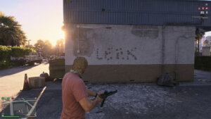 leek gta vi
